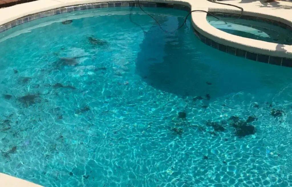 Pool with black algae spots before professional cleaning.